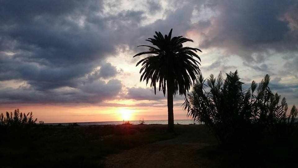 Mediterrania Marina Sagunto Exteriér fotografie