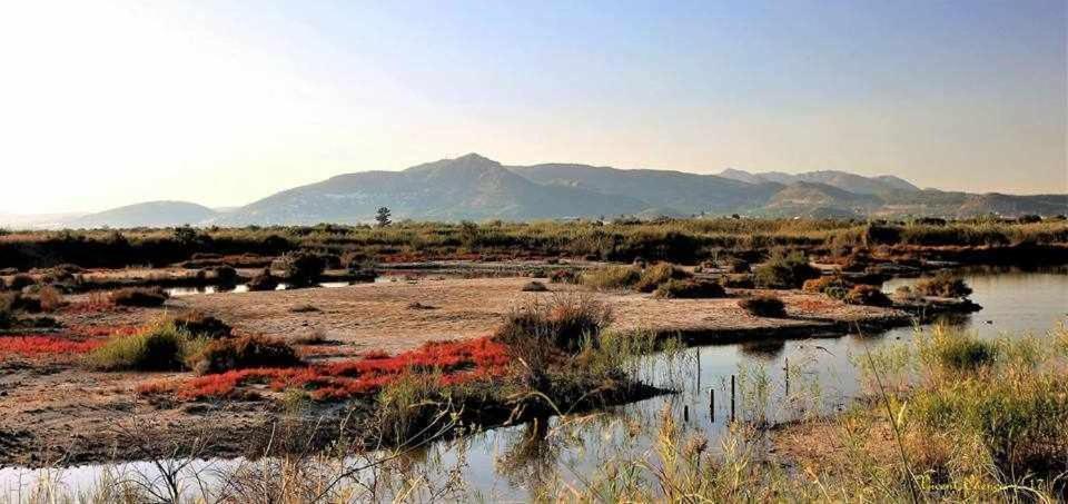 Mediterrania Marina Sagunto Pokoj fotografie