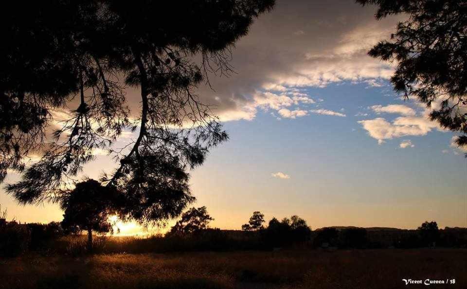 Mediterrania Marina Sagunto Pokoj fotografie